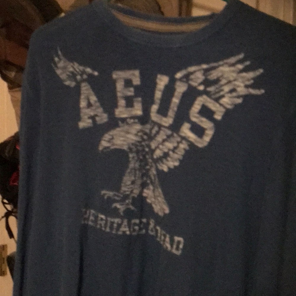 Blue American eagle
